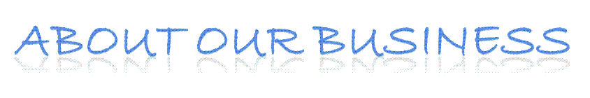 About our Business